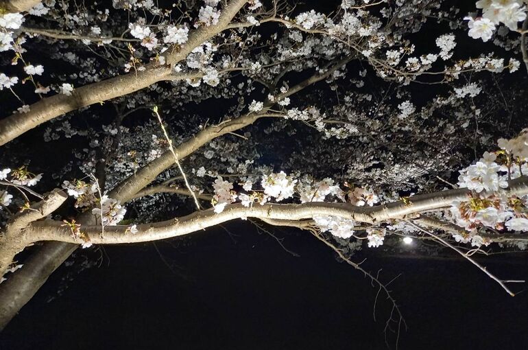 F076B833-8EE6-4D23-BD90-ABEE88A910BE