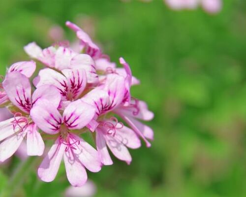 9CA91822-78AE-4B4D-A78D-B453CD0F6894