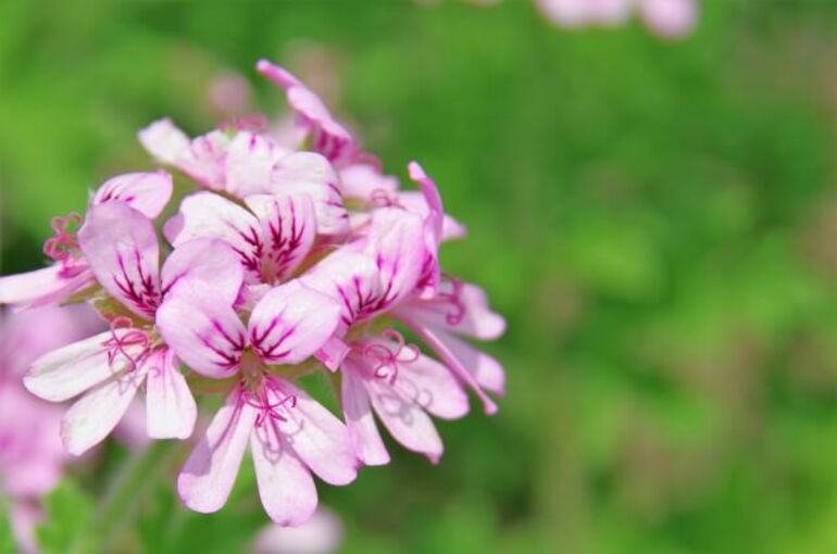 9CA91822-78AE-4B4D-A78D-B453CD0F6894