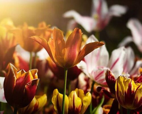 E2DB6304-473A-4662-B1D0-1AD1100AB5CE