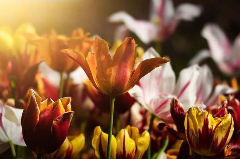 E2DB6304-473A-4662-B1D0-1AD1100AB5CE