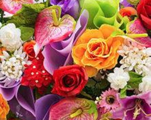 7385244B-CA72-46F7-8AEB-14F9D7FFCEE0