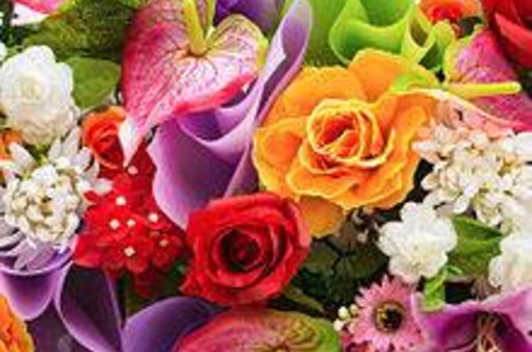 7385244B-CA72-46F7-8AEB-14F9D7FFCEE0